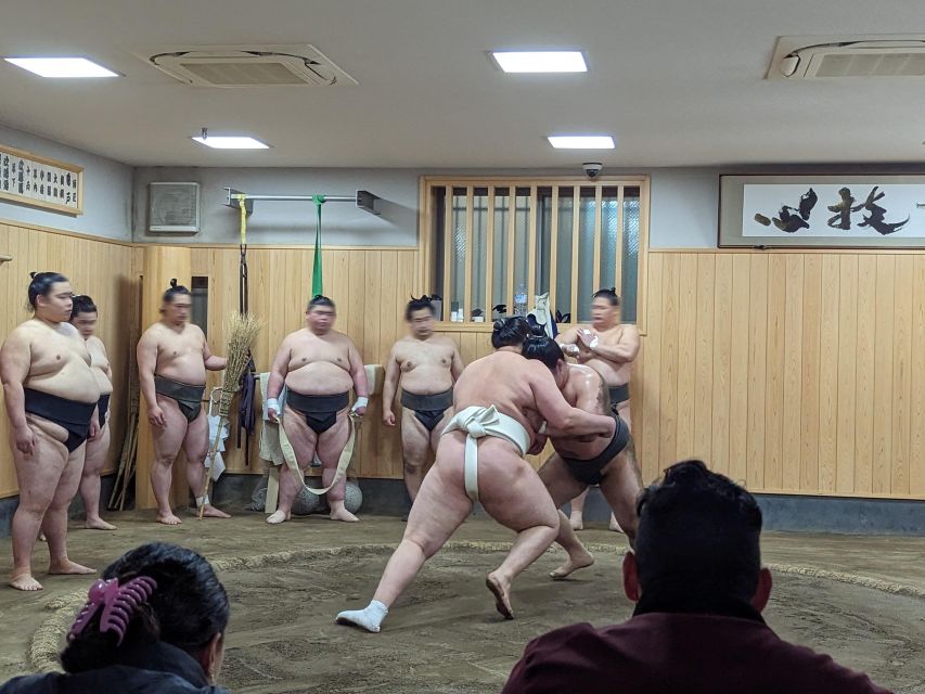 Tokyo: Morning Sumo Practice Viewing - Get up Close and Personal With Sumo Wrestlers