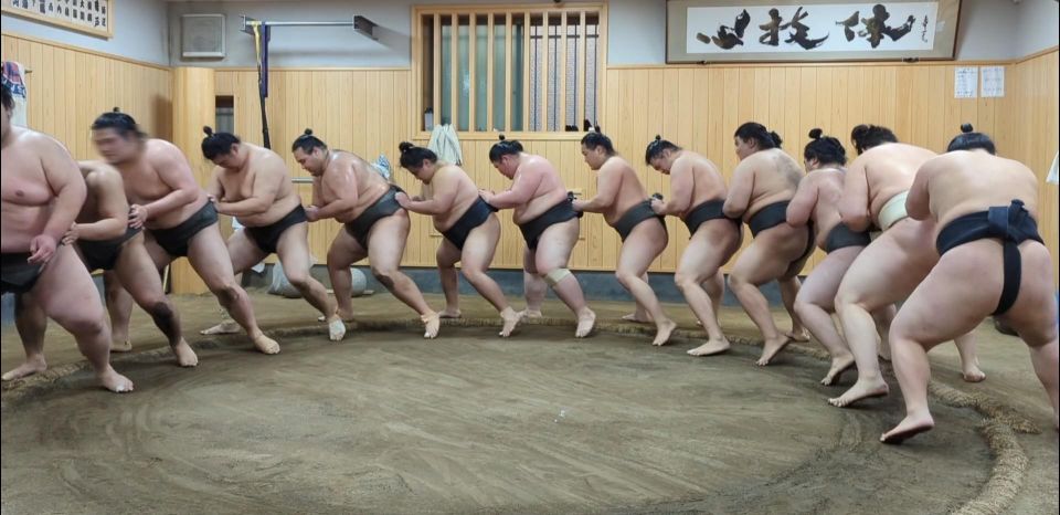 Tokyo: Morning Sumo Practice Viewing - Practical Information and Tips for the Tour