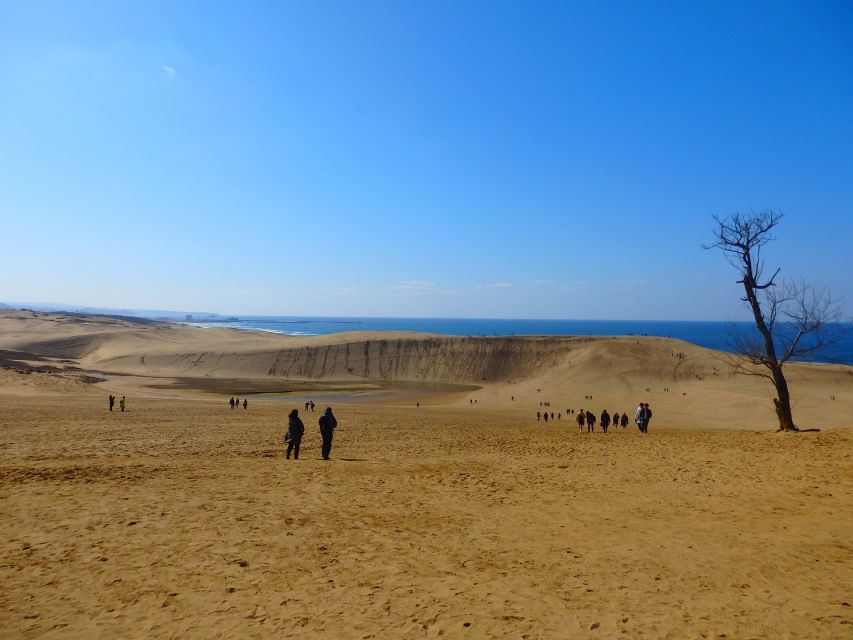Osaka: Tottori Sand Dunes and Hakuto Shrine Day Trip by Bus - Inclusions