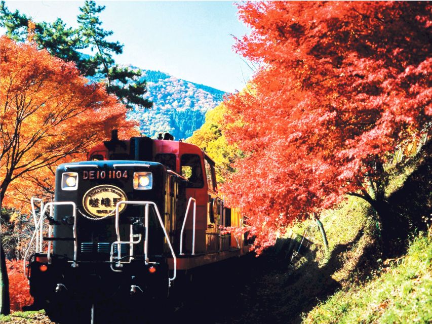 From Kyoto: Sagano Train Ride and Guided Kyoto Day Tour - Activity Details and Highlights