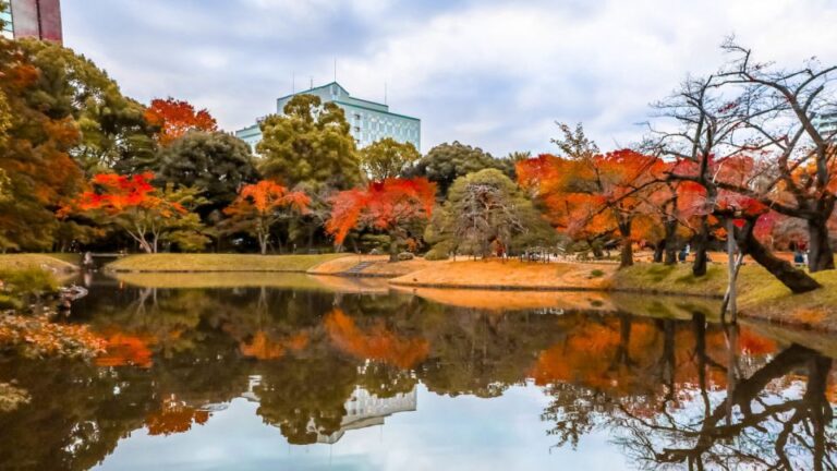 Tokyo: Full-Day Japanese Garden Private Guided Tour
