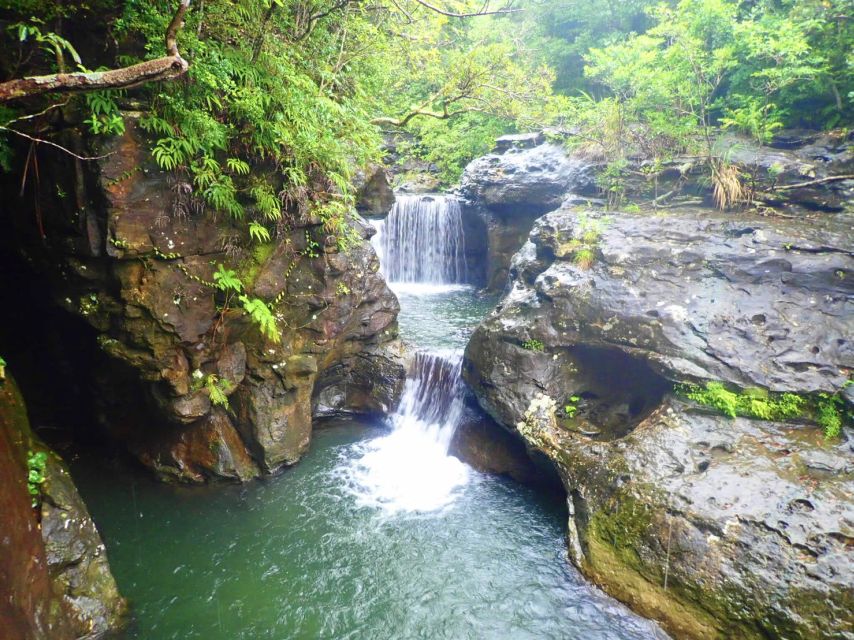 Iriomote Island: Guided 2-Hour Canyoning Tour - Eco-Friendly Adventure
