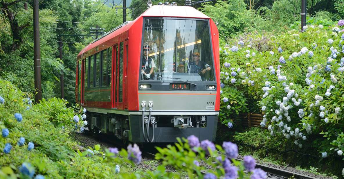 Hakone: Train Pass With Unlimited Rides & Activity Discounts - Quick Takeaways