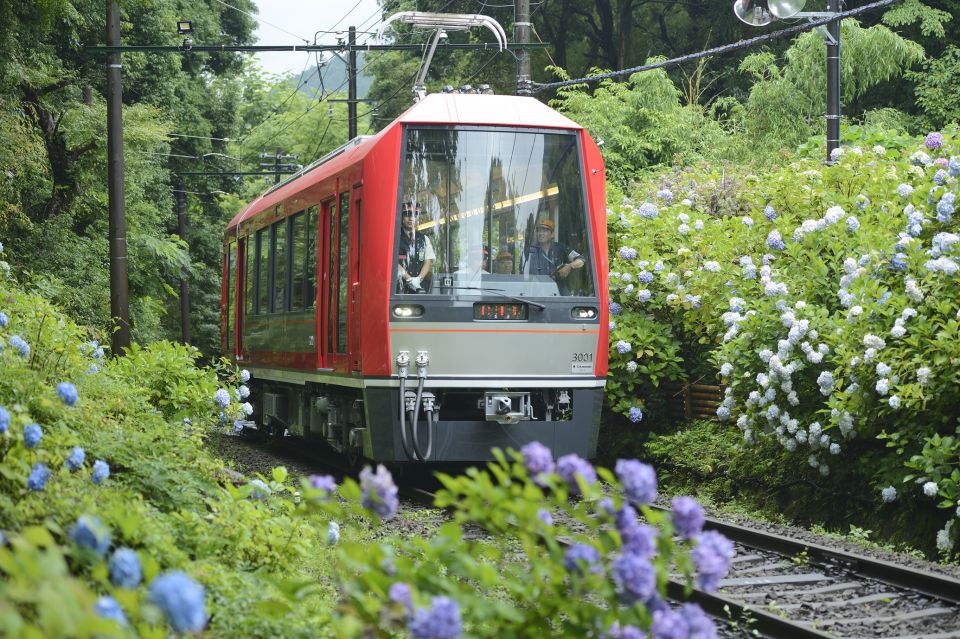 Hakone: Train Pass With Unlimited Rides & Activity Discounts - Review 1