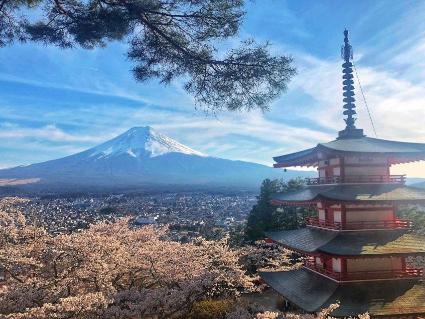 From Tokyo: Private Trip to Mount Fuji and Lake Kawaguchi - Experience Highlights