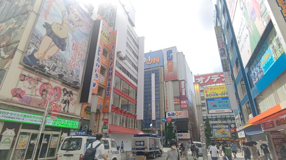Akihabara: Anime and Electronics Guided Tour - Full Tour Description