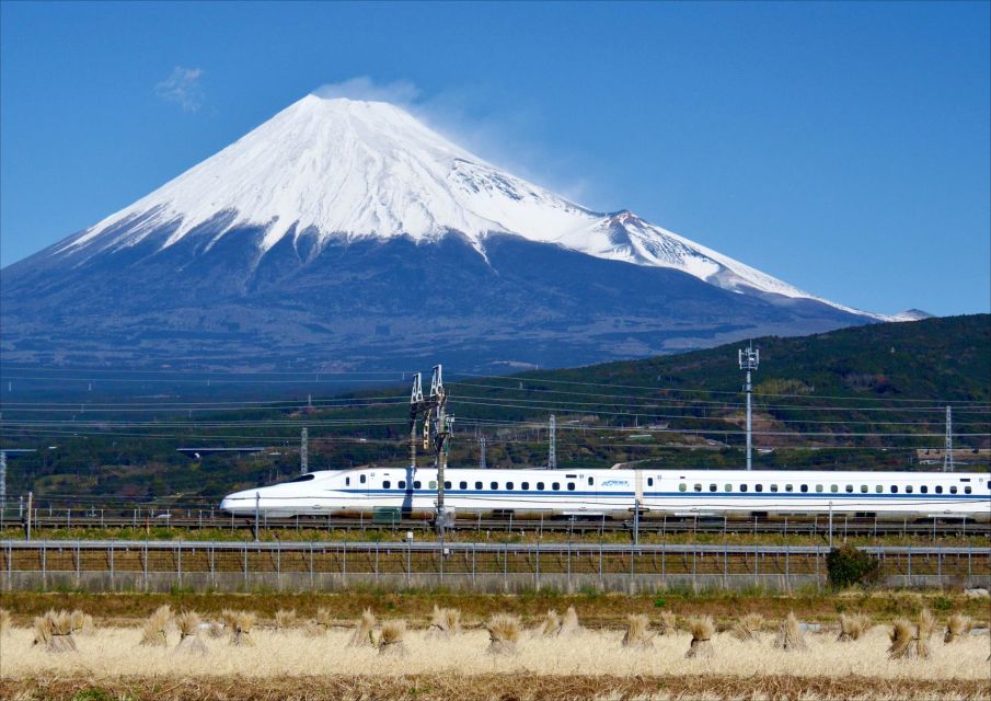 From Tokyo: Mt. Fuji & Hakone Tour W/ Return by Bullet Train - Quick Takeaways