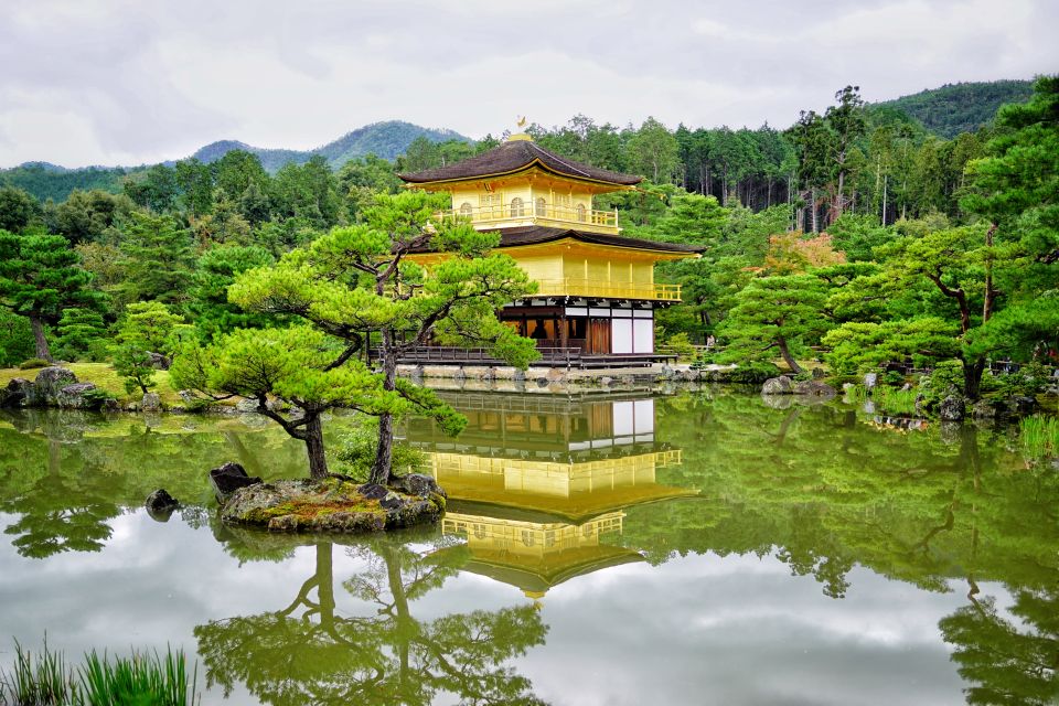 From Osaka or Kyoto: Kyoto & Nara 1 Day Bus Tour - Tour Details