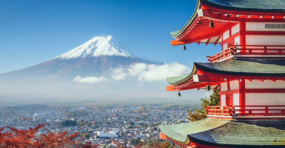 From Tokyo: Mount Fuji Private Day Tour - Pickup and Dropoff Services