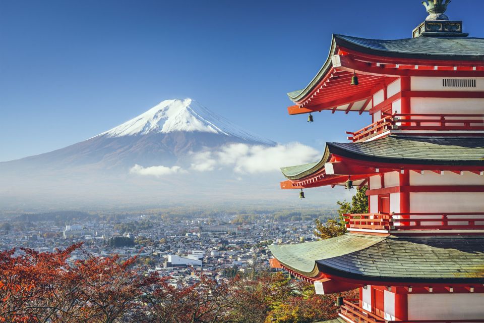 From Tokyo: Mount Fuji Private Day Tour - Frequently Asked Questions