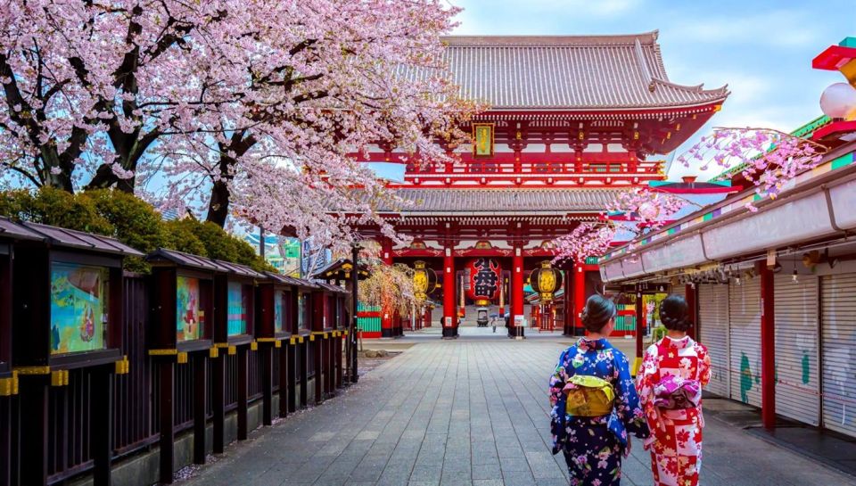 Tokyo: Full Day Private Walking Tour With a Guide - Experience Highlights