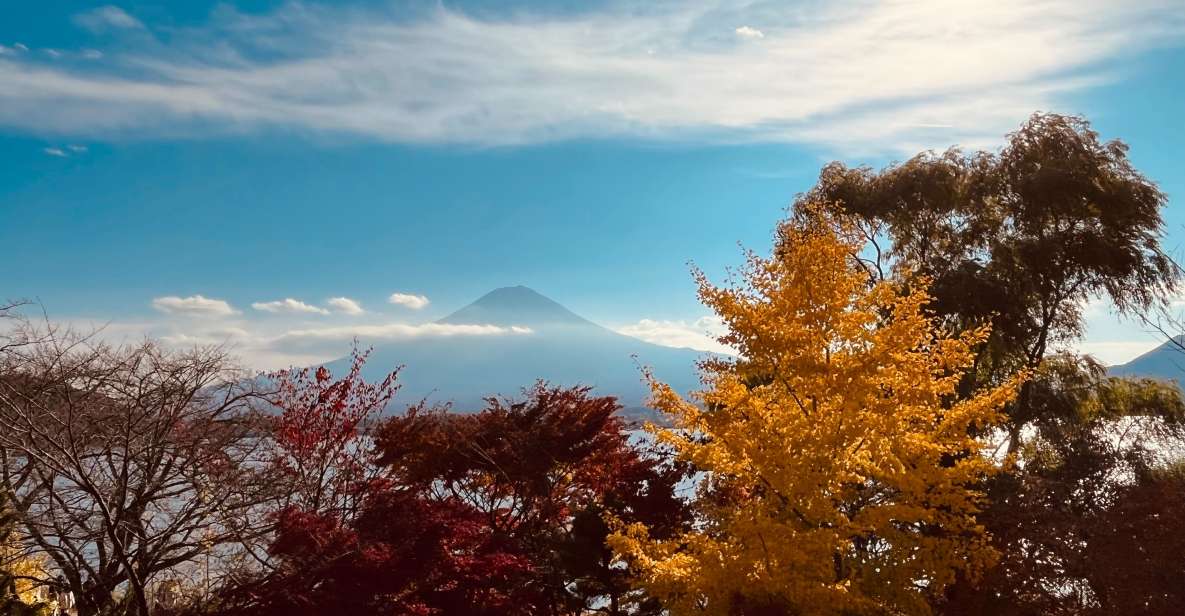 Shinjuku: Mount Fuji Panoramic View and Shopping Day Tour - Inclusions