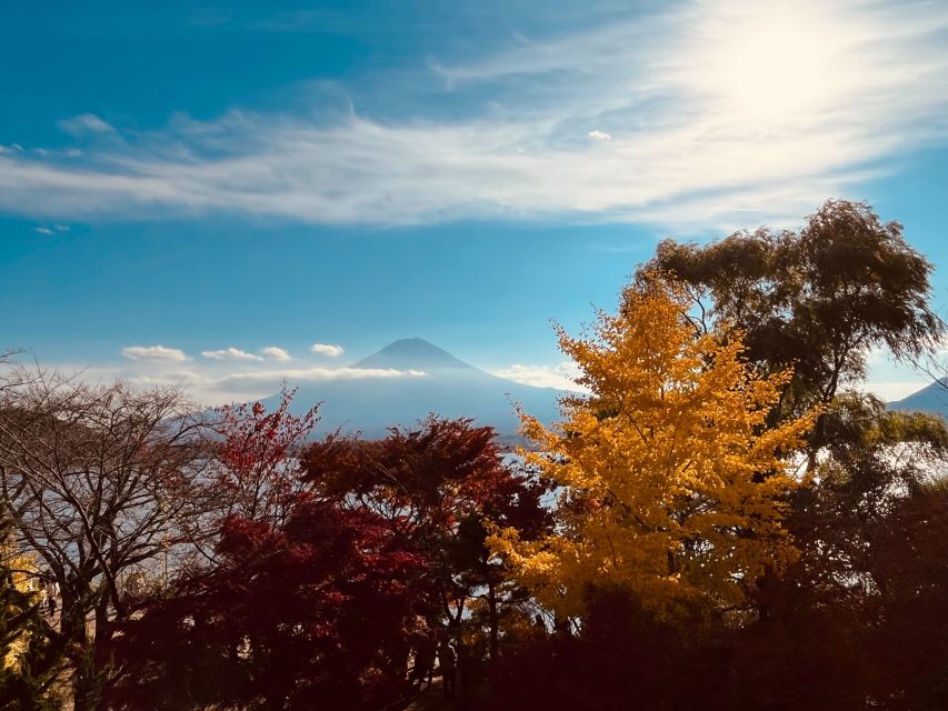 Shinjuku: Mount Fuji Panoramic View and Shopping Day Tour - Activity Details