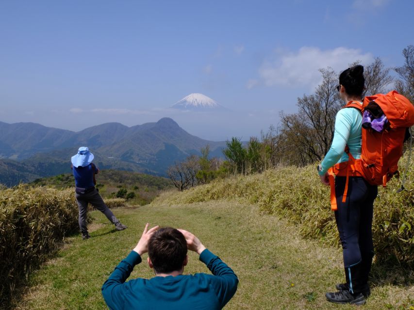 Hakone: Traverse the Hakone Caldera and Enjoy Onsen - Activity Details