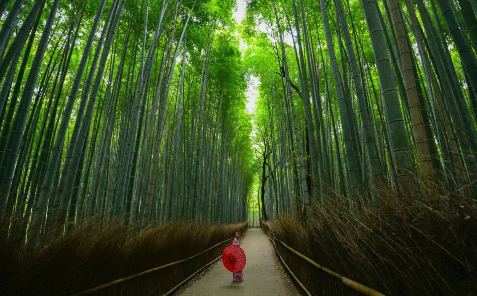 Arashiyama: Self-Guided Audio Tour Through History & Nature - English Audio Guide