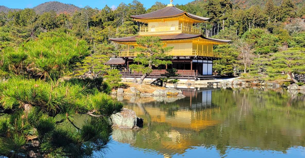 Tour in Kyoto With a Goverment Certified Tour Guide - Cancellation and Payment Policy