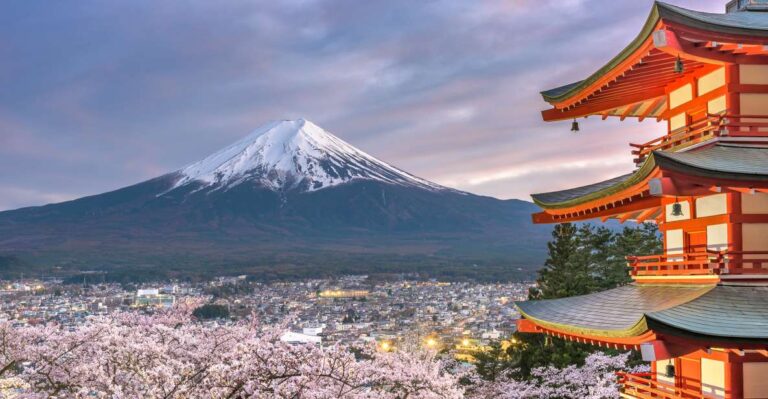 Private Full Day Sightseeing Tour to Mount Fuji and Hakone