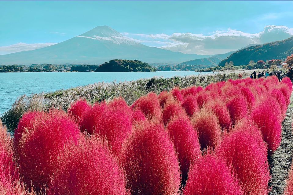 Private Full Day Sightseeing Tour to Mount Fuji and Hakone - Key Attractions and Highlights