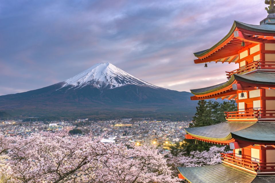 Private Full Day Sightseeing Tour to Mount Fuji and Hakone - Frequently Asked Questions