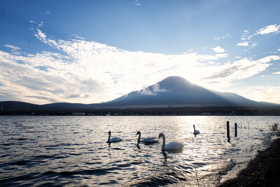 Private Full Day Sightseeing Tour to Mount Fuji and Hakone - Comprehensive Sightseeing Experience
