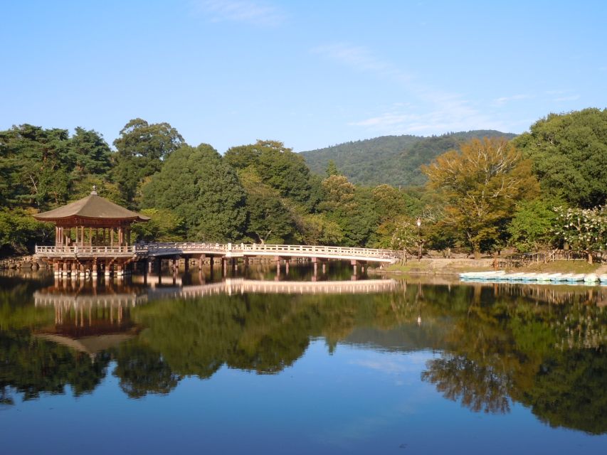 Nara: Todai-ji and Nara Park (Spanish Guide) - Descripción Completa