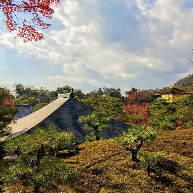Kyoto: City Secrets Ebike Tour - Tour Requirements