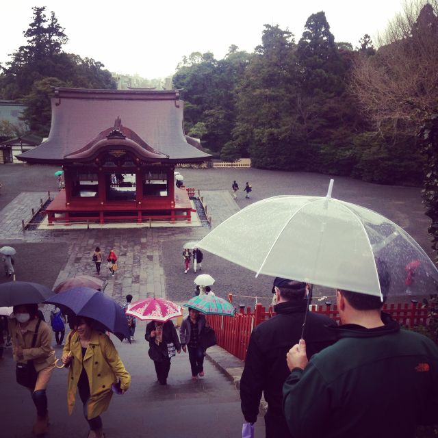 Kamakura: Great Buddha, Hase Temple, & Komachi Street Tour - Reviews and Additional Information