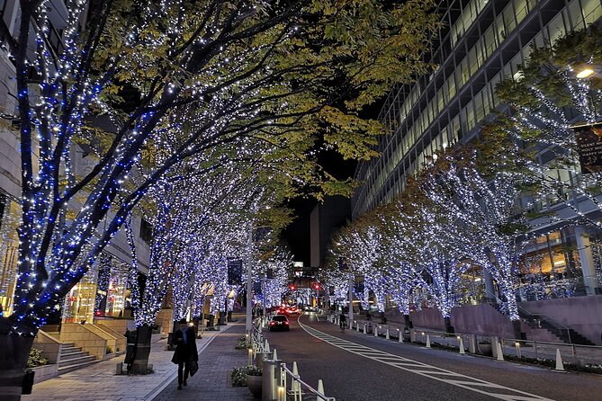 Tokyo Christmas Tour With a Local Guide: Private & Tailored to You