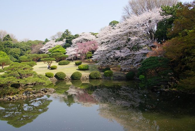 Tokyo Must See Top 10 Hidden Gems In One Day - Quick Takeaways