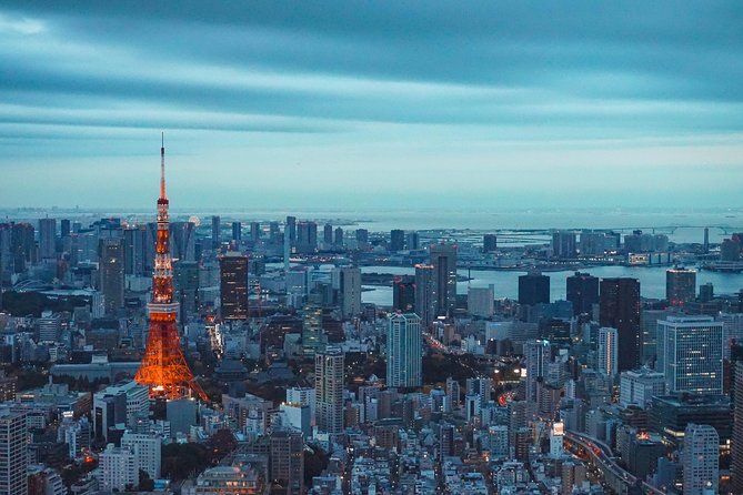 Tokyo Private Tour by Car/Van - Guide Option Available (up to 13) - Guide Option: Enhance Your Tokyo Experience With Local Expertise