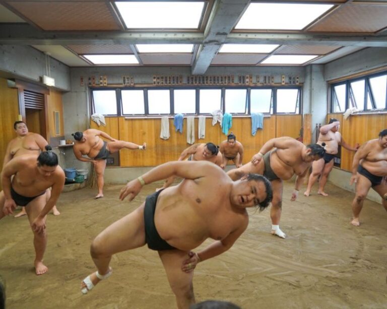 Tokyo: Sumo Wrestler’s Morning Practice Ticket and Tour