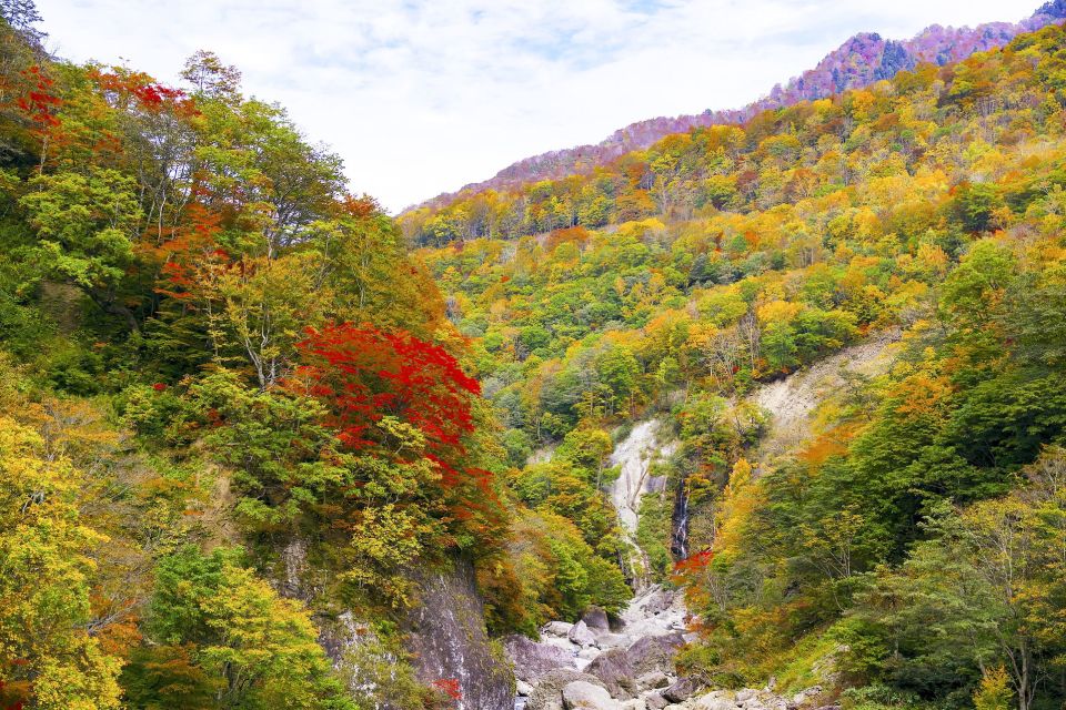 Welcome to Nagano: Private Tour With a Local - Quick Takeaways