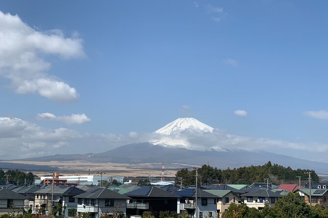 Zen Experience and Walking Tour to Gotemba Local Hidden Gems - Quick Takeaways